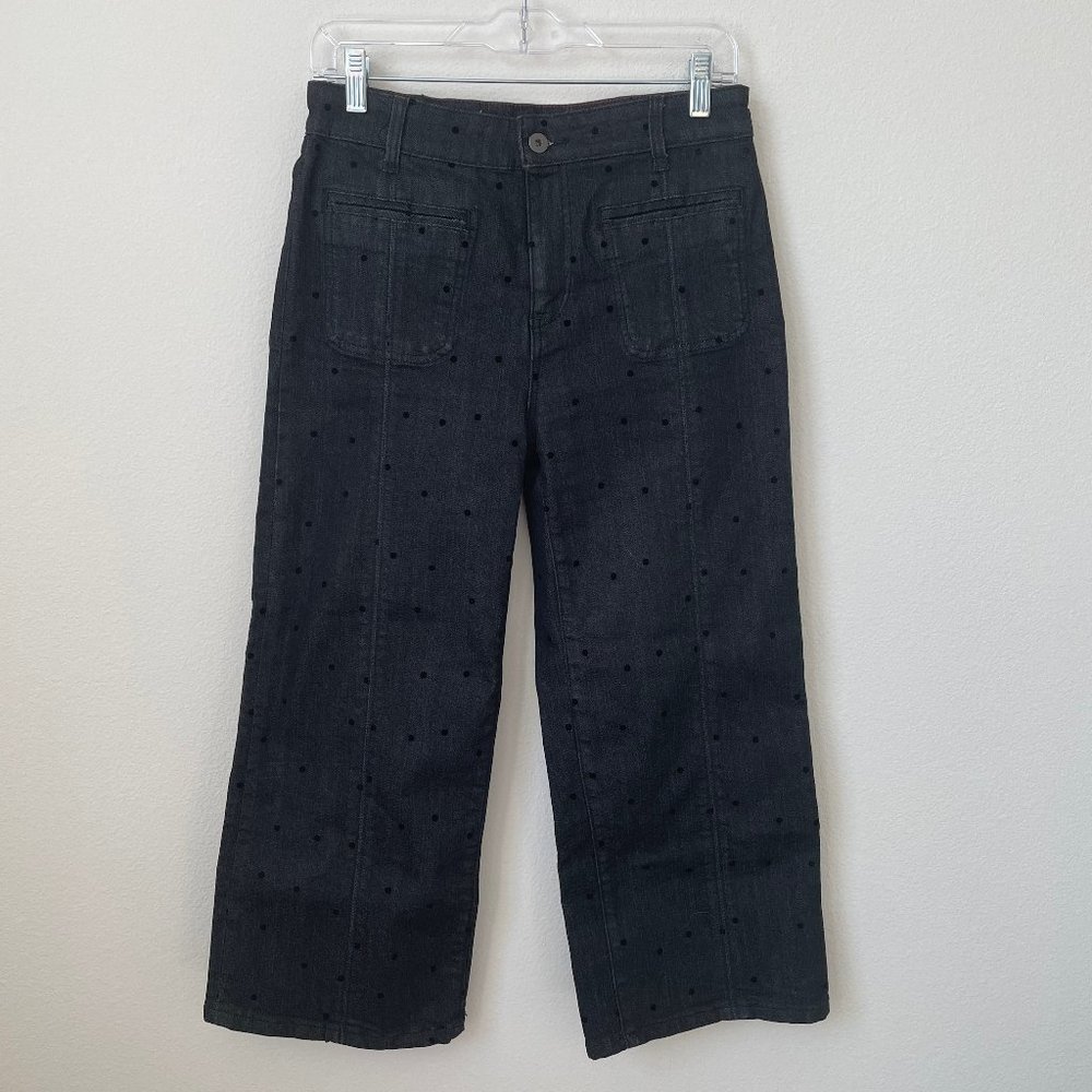 Anthropologie Pilcro and the Letterpress Velvet Polka Dot Black Wide Leg Jean